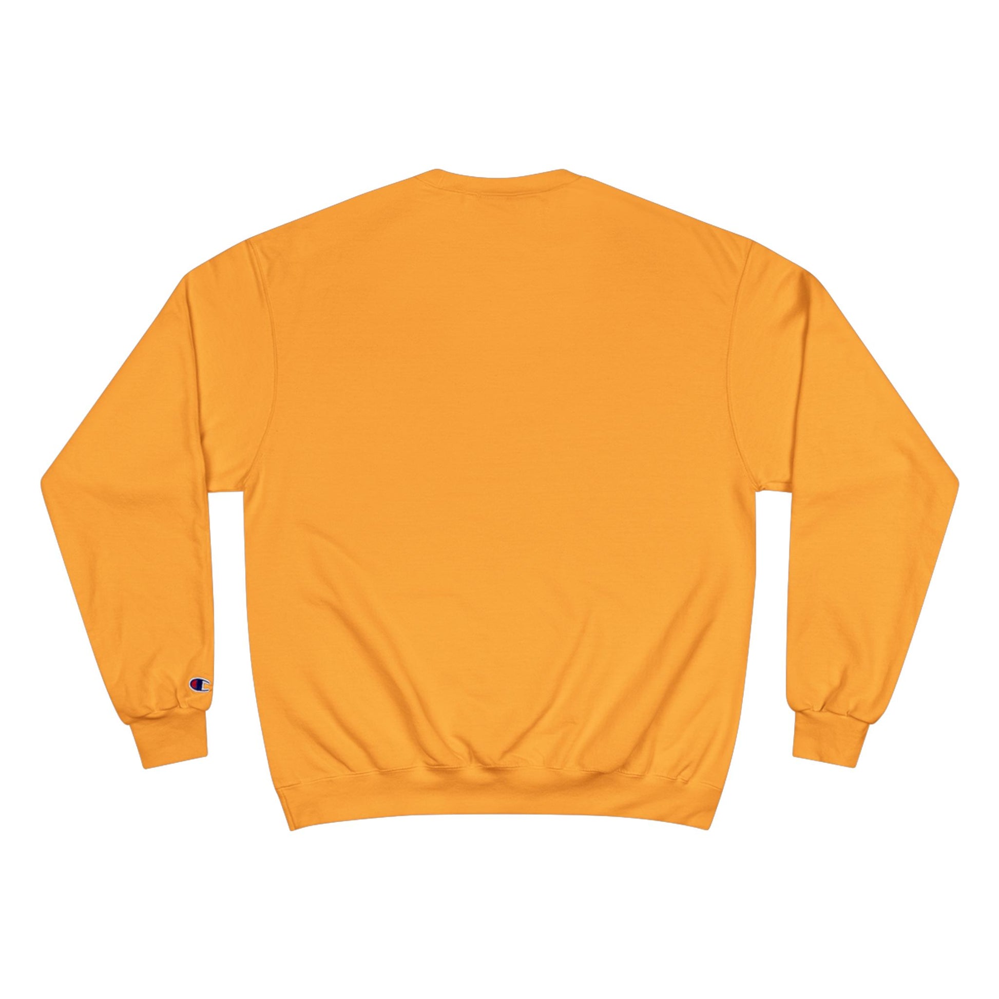 Delete Champion Sweatshirt-5