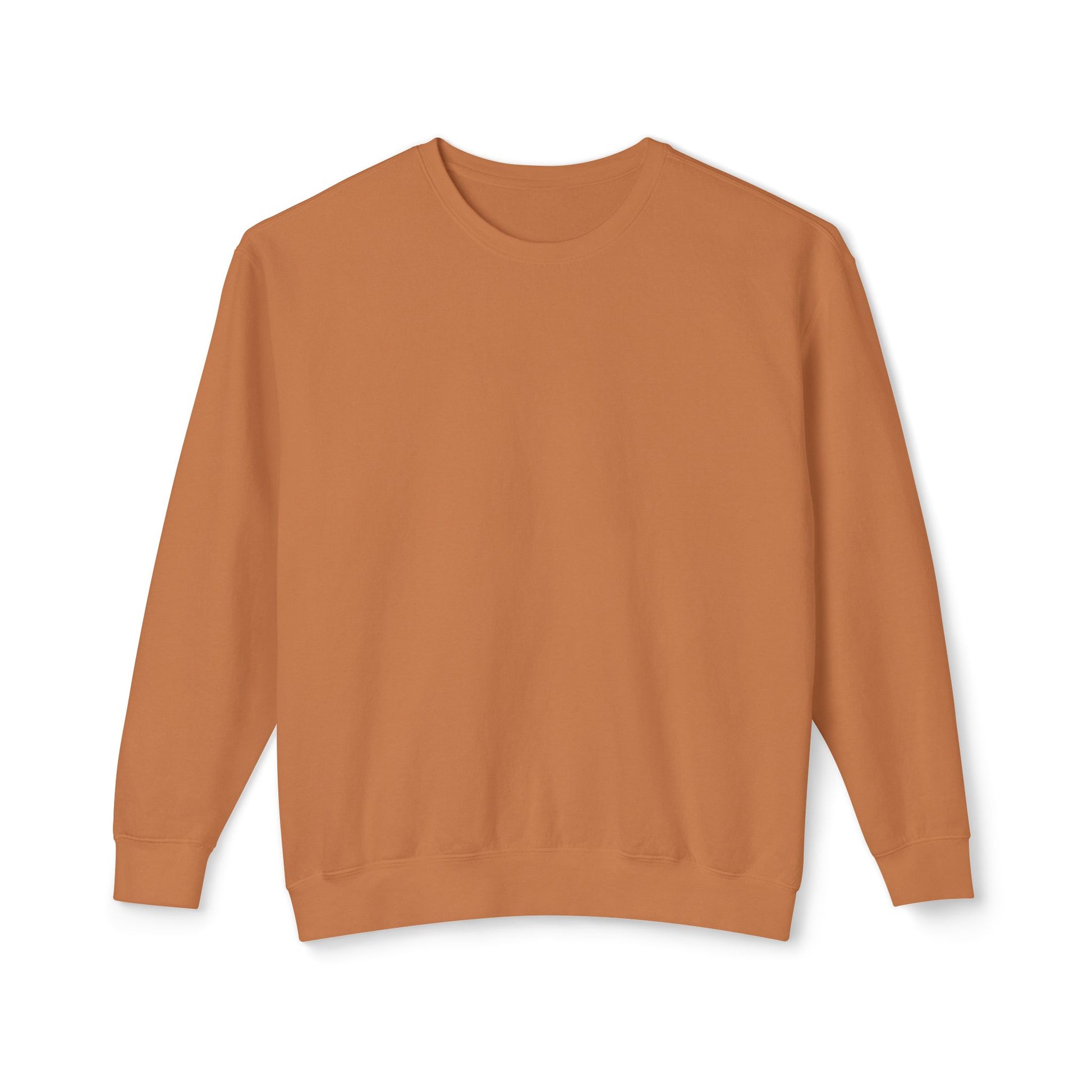 Delete Crewneck Sweatshirt — Minimal White Lightweight Pullover-4